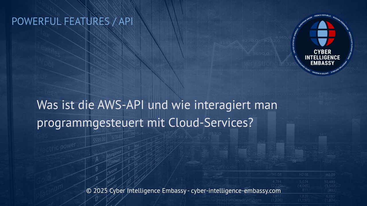 Effiziente Cloud-Steuerung: Wie Unternehmen mit der AWS-API Cloud-Services automatisieren