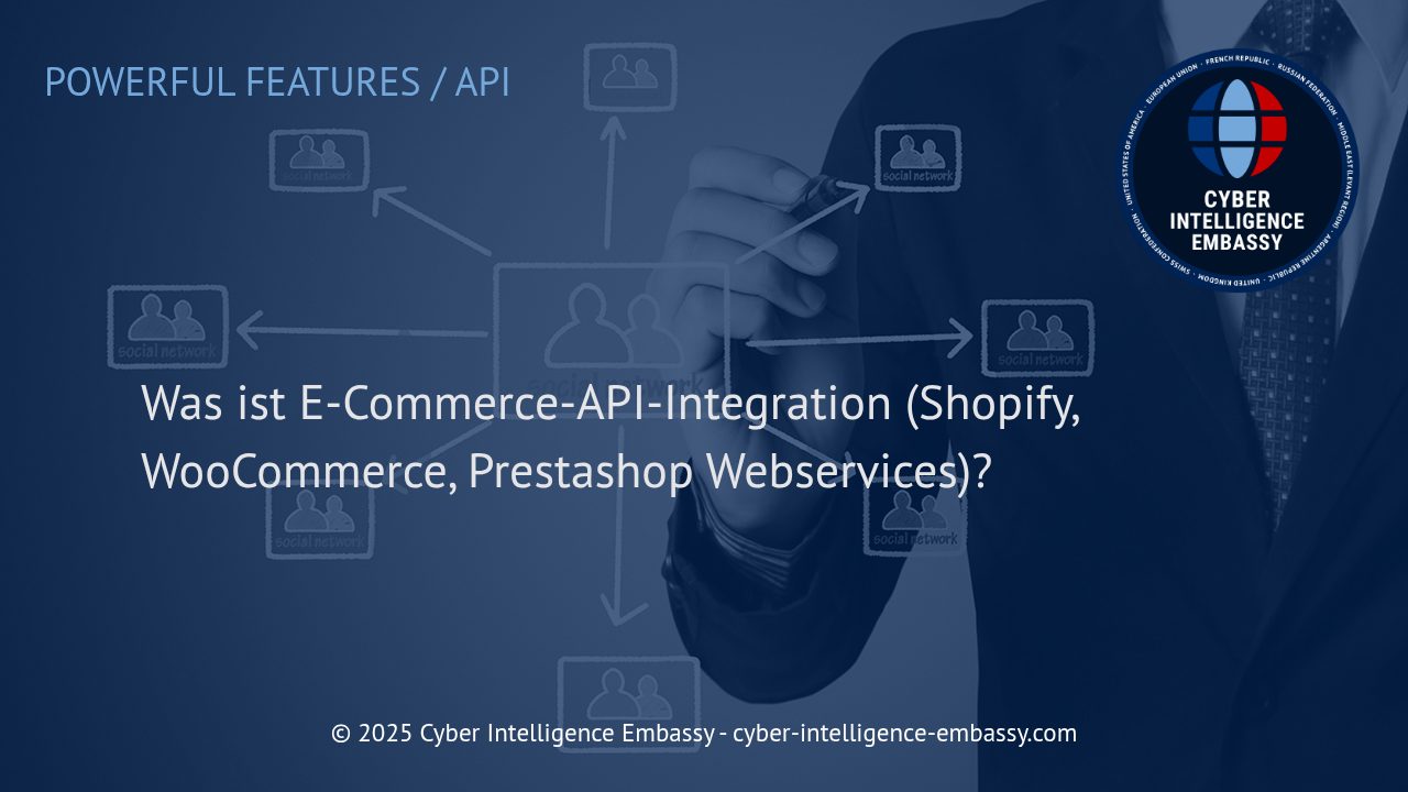 Effiziente E-Commerce-API-Integration: Wettbewerbsvorteile durch Automatisierung und Vernetzung