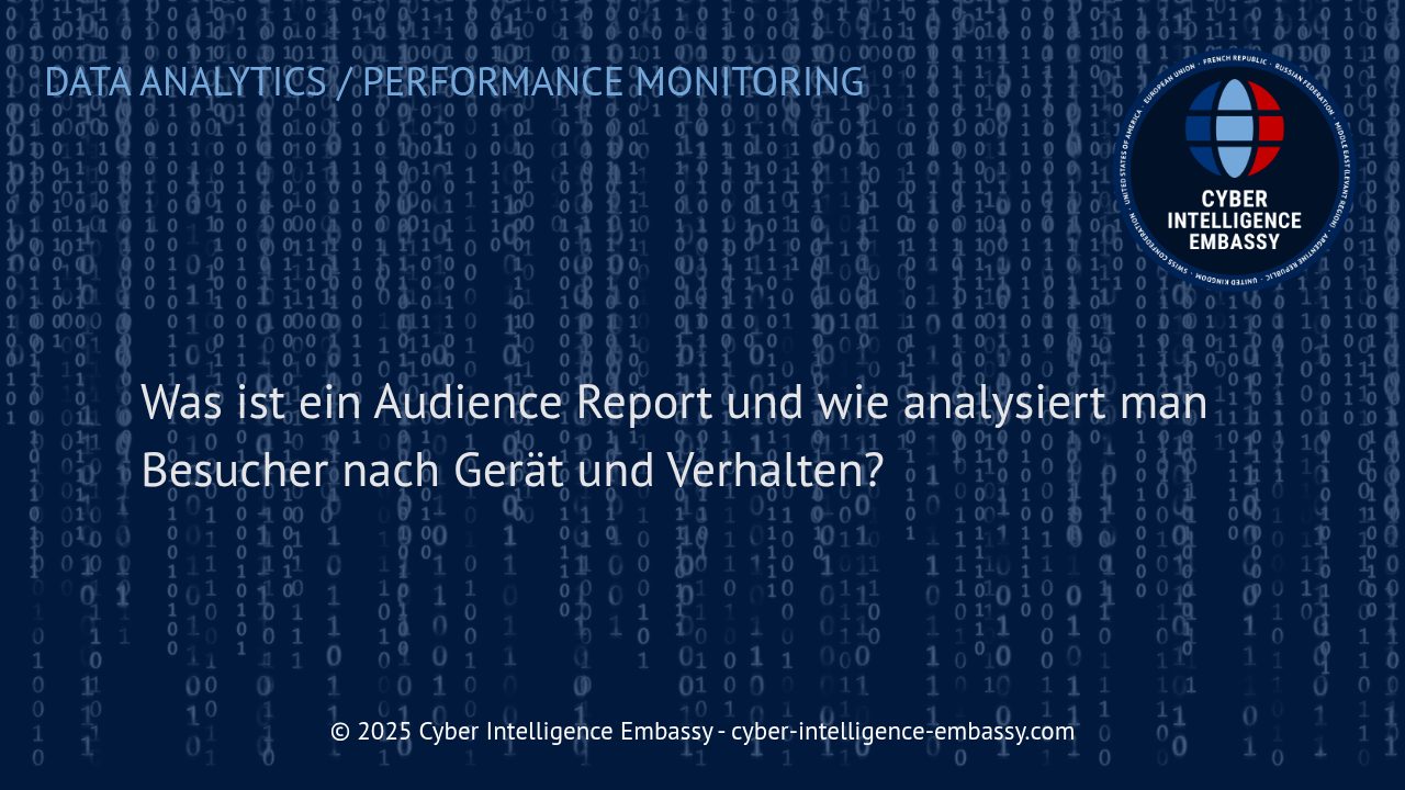 Audience Reports: Das Fundament für zielgerichtete Besucheranalysen im digitalen Geschäft