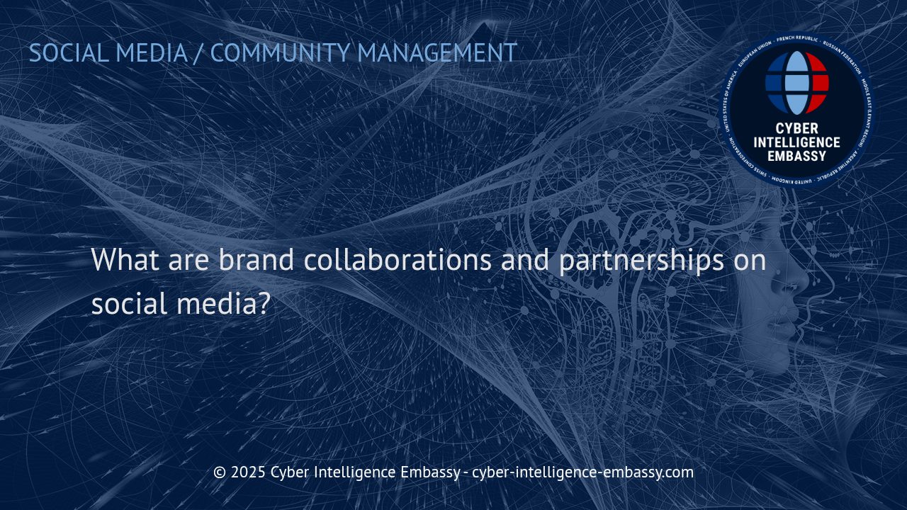Leveraging Brand Collaborations and Partnerships for Social Media Success