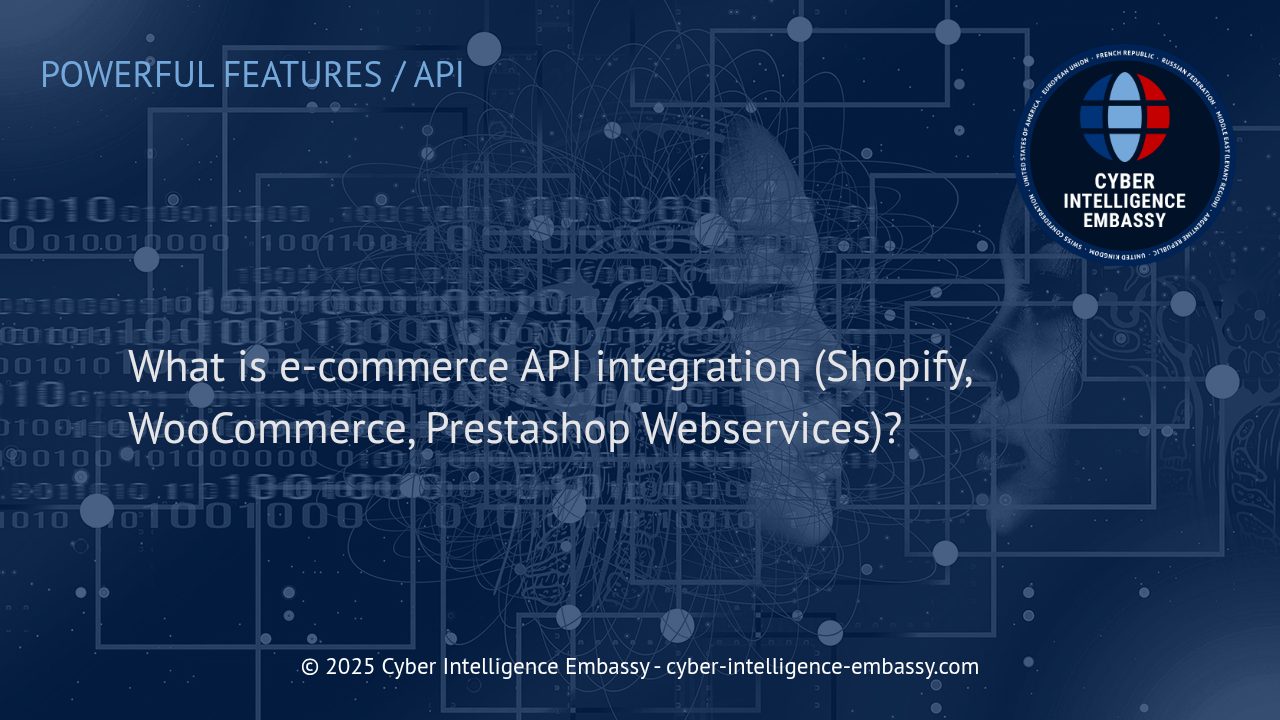 Understanding E-Commerce API Integration: Optimizing Online Store Operations