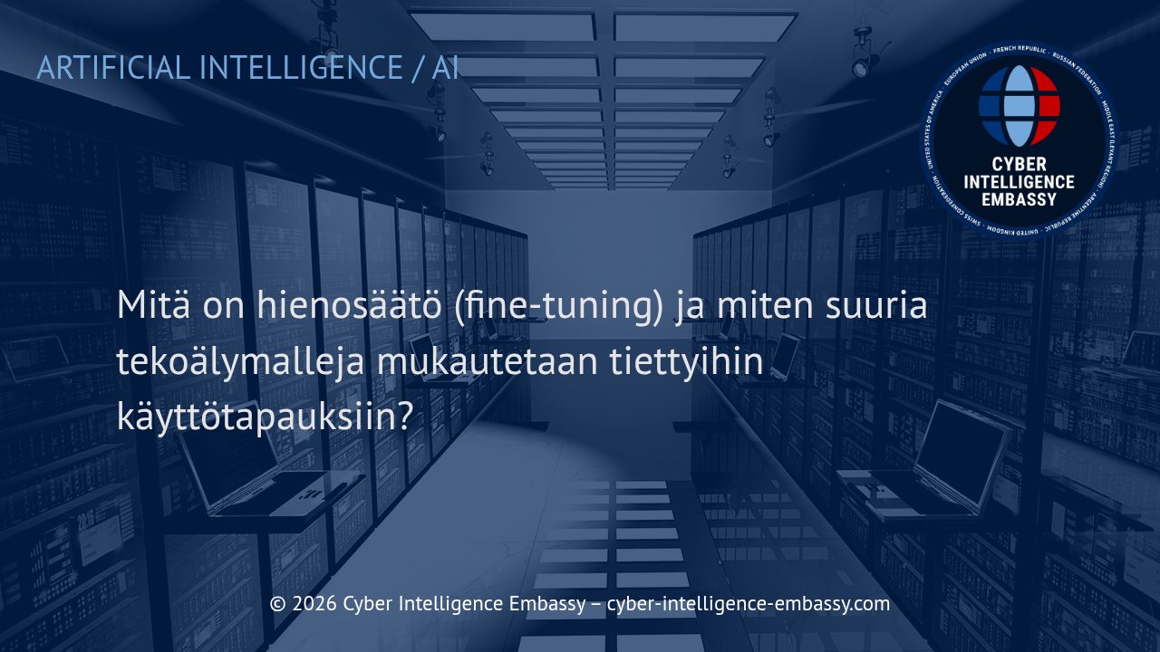 Mitä on hienosäätö (fine-tuning) ja miten suuria tekoälymalleja mukautetaan tiettyihin käyttötapauksiin?