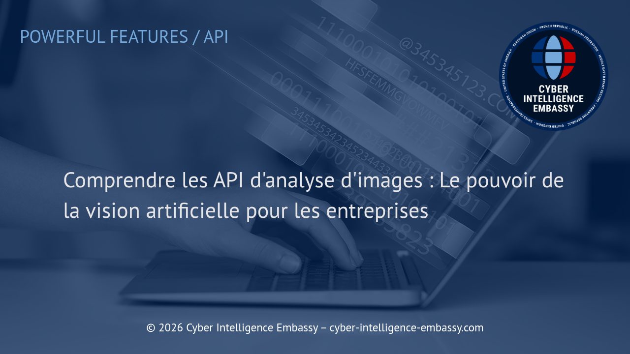 Comprendre les API d'analyse d'images : Le pouvoir de la vision artificielle pour les entreprises