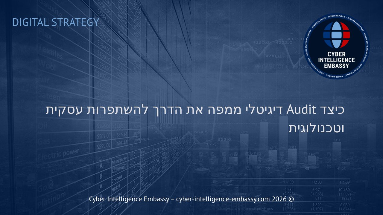 כיצד Audit דיגיטלי ממפה את הדרך להשתפרות עסקית וטכנולוגית