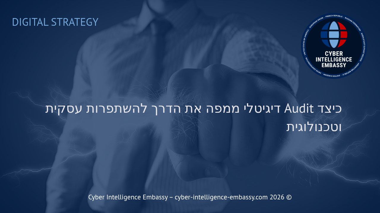 כיצד Audit דיגיטלי ממפה את הדרך להשתפרות עסקית וטכנולוגית