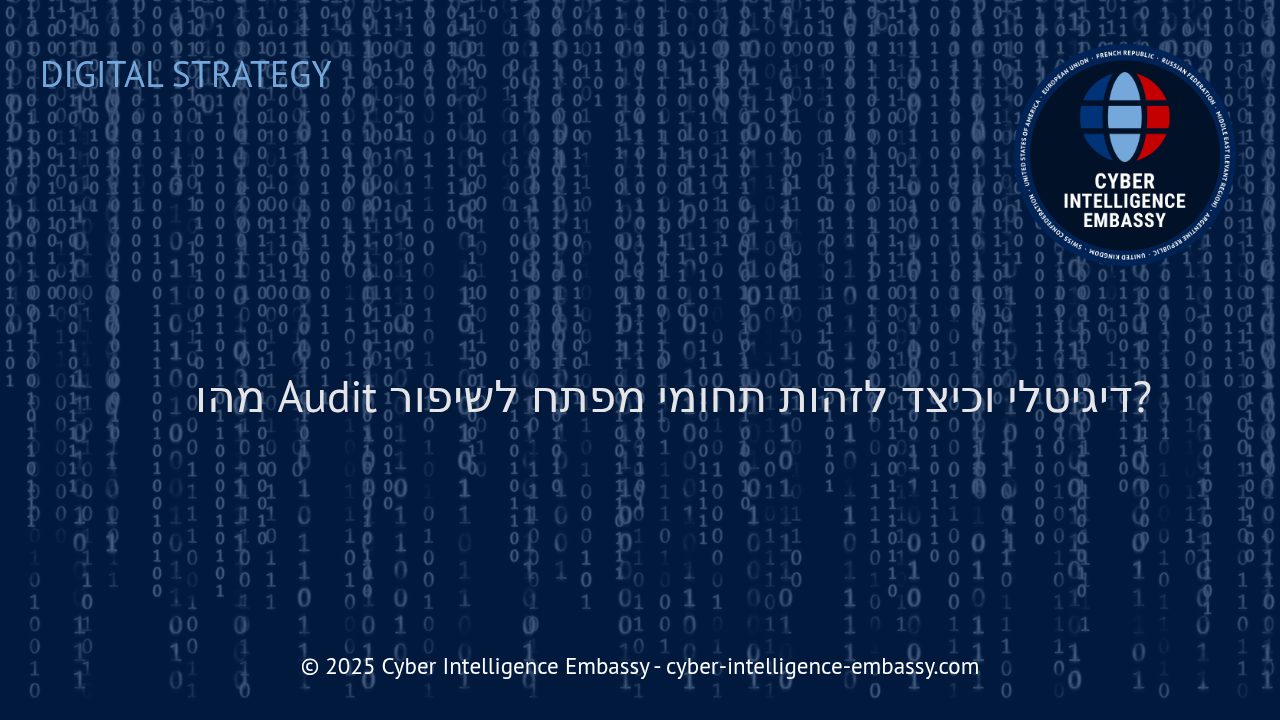 כיצד Audit דיגיטלי ממפה את הדרך להשתפרות עסקית וטכנולוגית