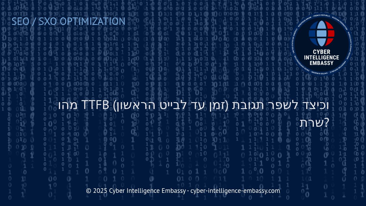 שיפור ביצועי שרת: מהו TTFB ואיך לעבור לתגובה מהירה ואופטימלית