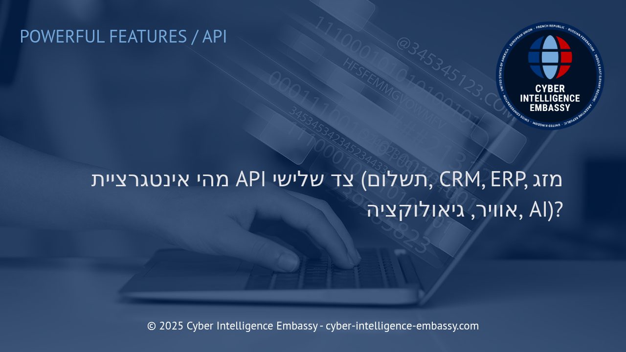 הבנת אינטגרציית API צד שלישי: מנוע חדשנות וכלי חיוני לעסקים