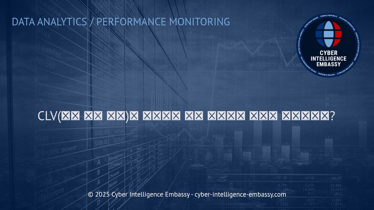 디지털 시대의 비즈니스 성공 전략: 고객 생애 가치(CLAV)의 이해와 효과적 활용