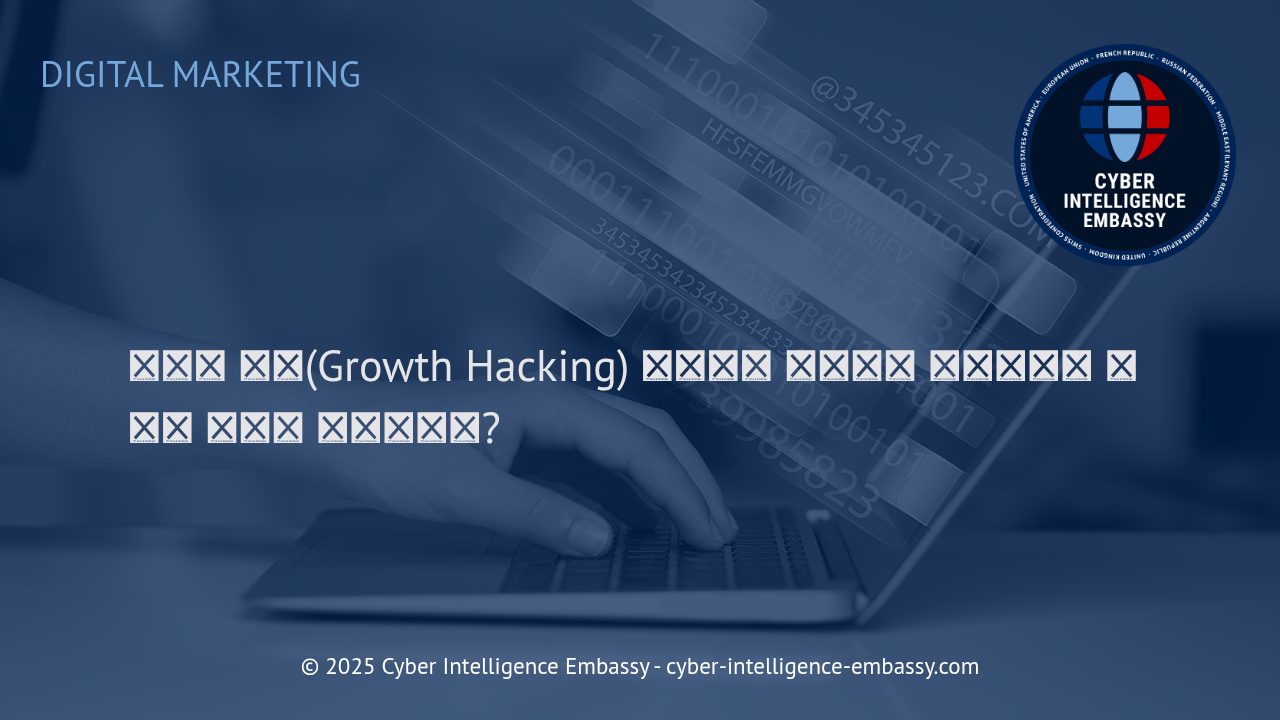 그로스 해킹 전략: 빠른 비즈니스 확장을 위한 실용적 접근법