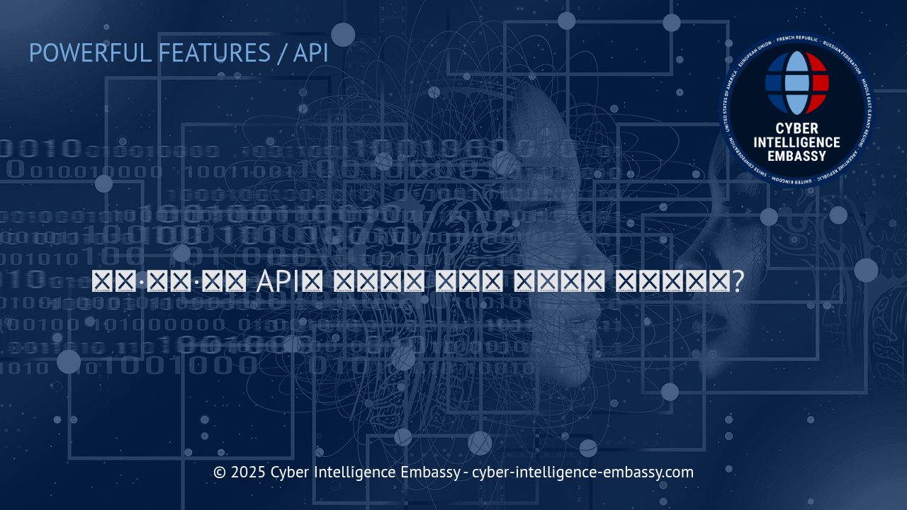 노선·가격·날씨 API: 동적 비즈니스 전략의 핵심 기술