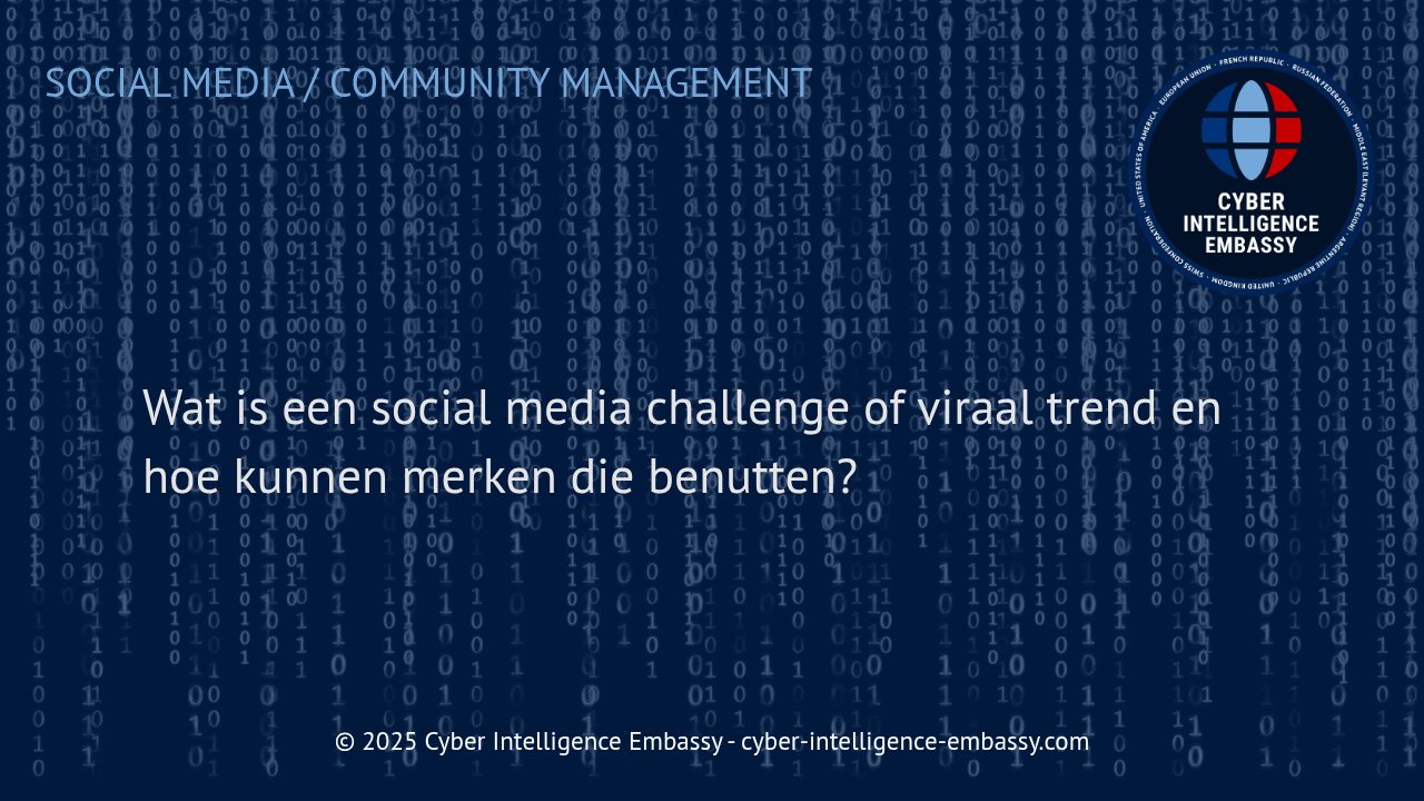 Social Media Challenges en Virale Trends: De Gids voor Zakelijk Succes
