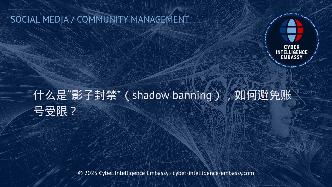 深入了解影子封禁：机制解析与账号风险防护实务
