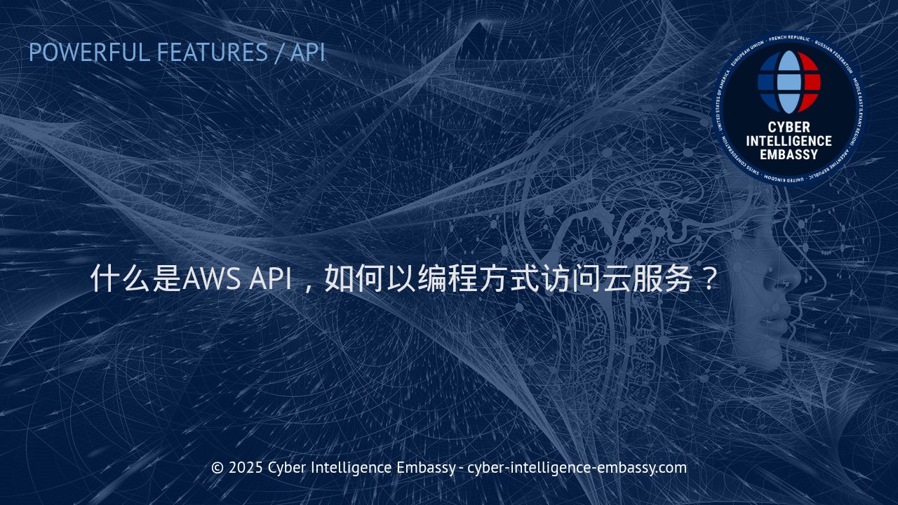 深入了解AWS API：企业如何以编程方式访问云服务