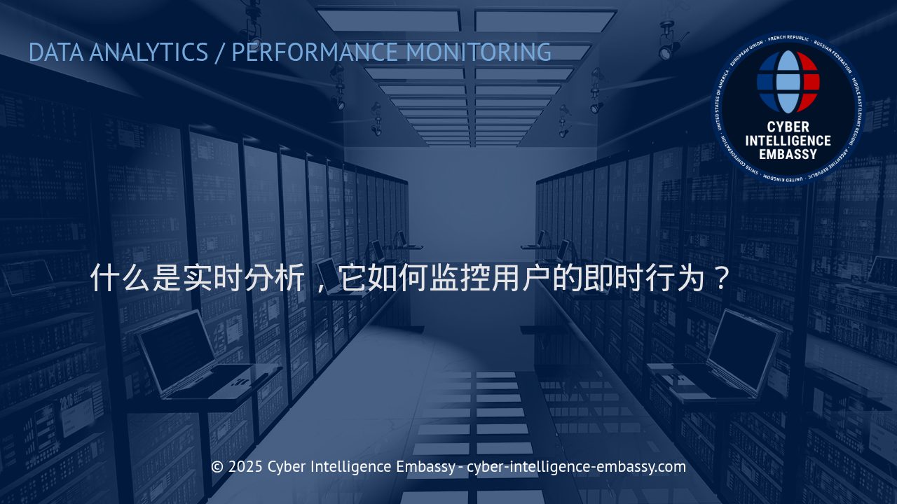 深入理解实时分析：企业如何掌控用户即时行为