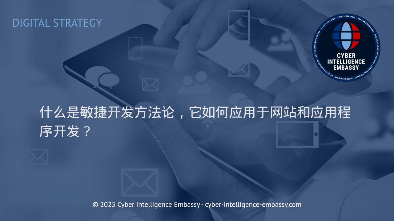 敏捷开发方法论：引领现代网站与应用程序高效创新