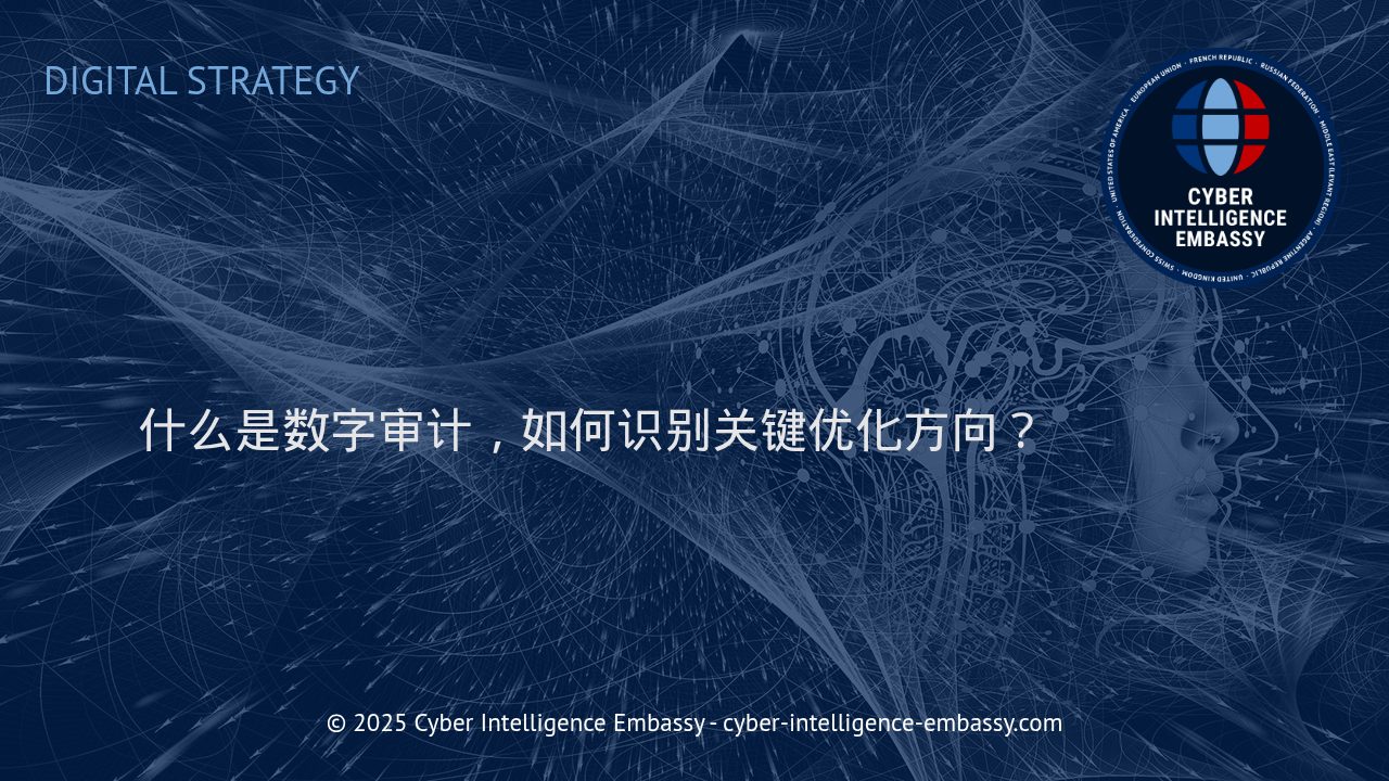 深度解析数字审计及其关键优化方向识别