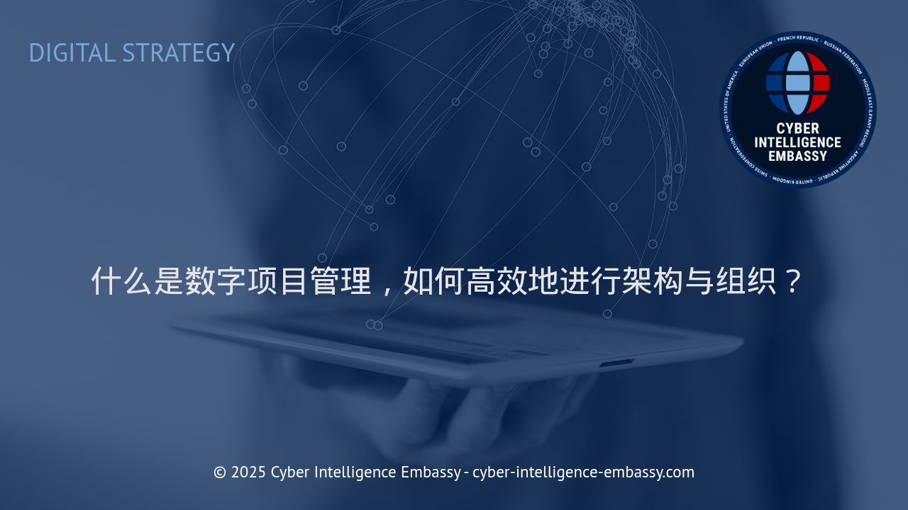 数字项目管理的架构与组织：打造高效数字化团队的方法论