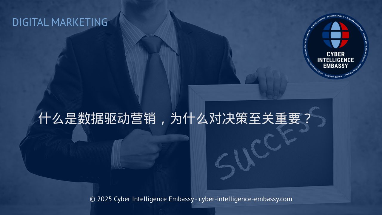 数据驱动营销：赋能企业决策的核心引擎