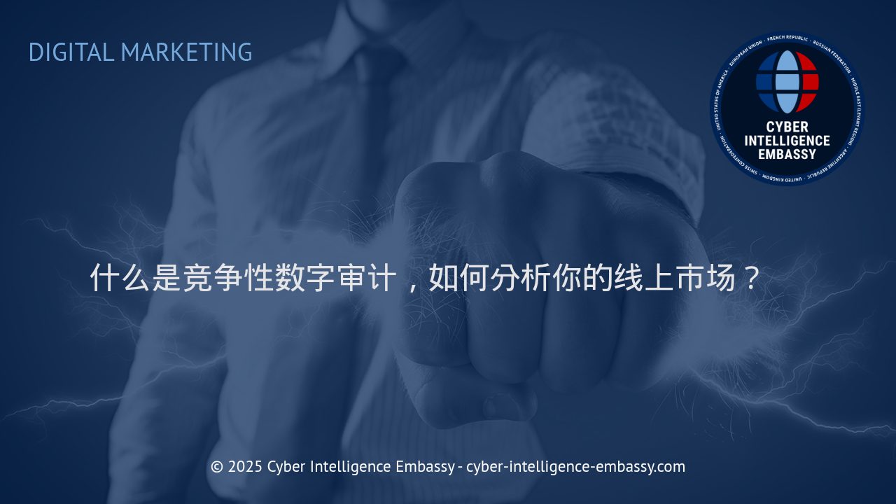 深入理解竞争性数字审计：掌控线上市场的关键策略