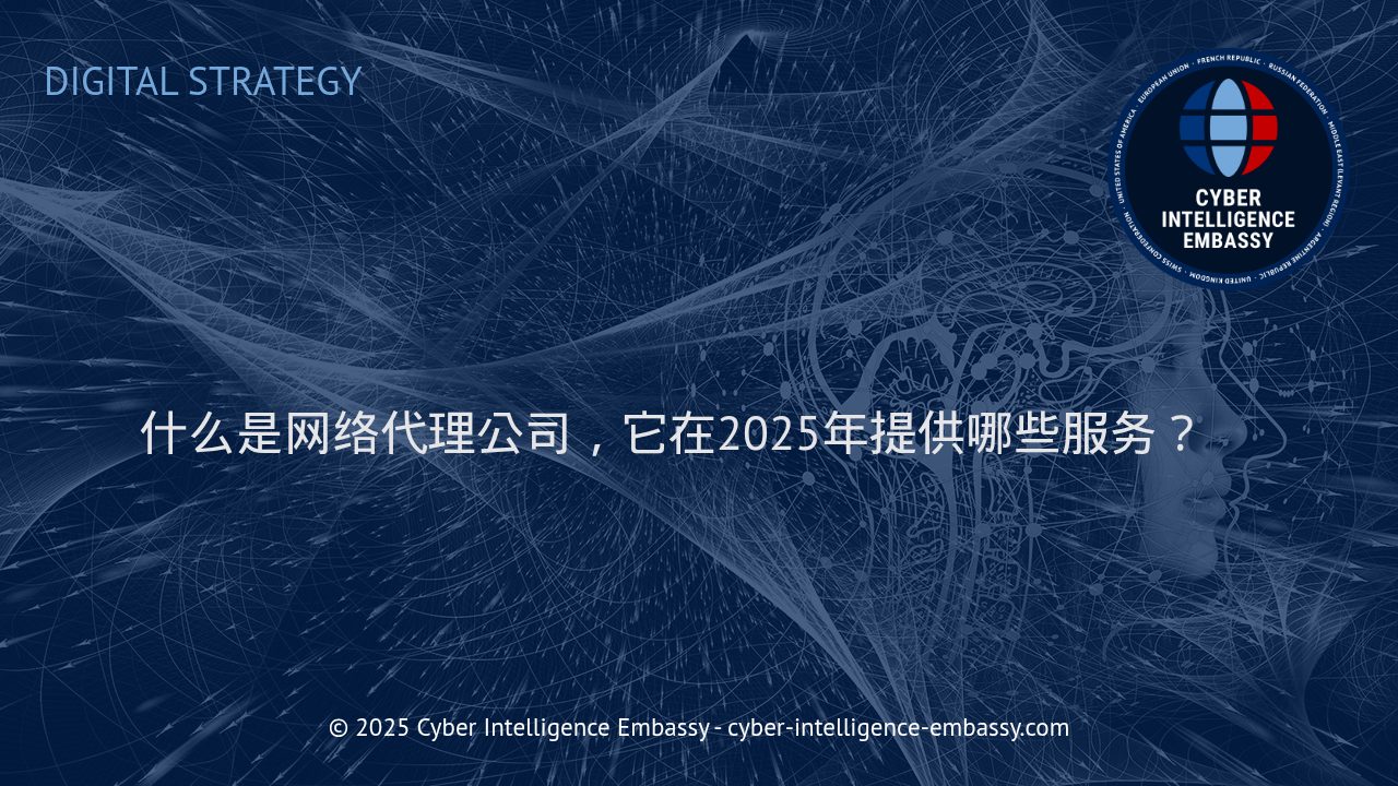 2025年网络代理公司的角色与核心服务全解析