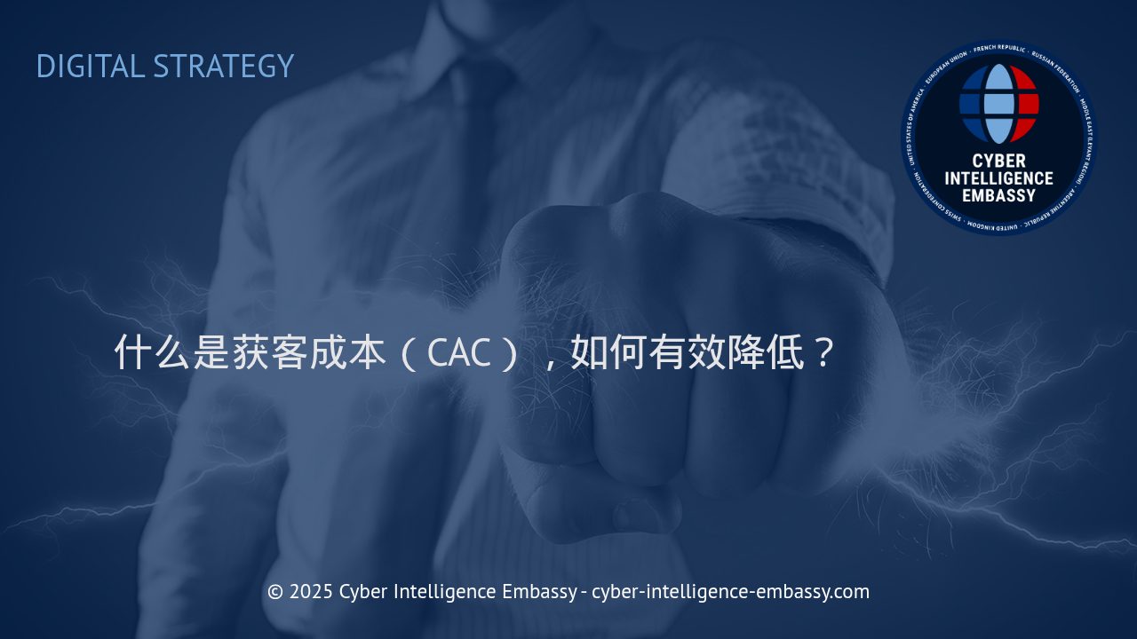 有效降低获客成本：企业持续增长的关键策略